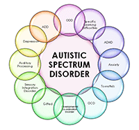 Autism-Spectrum-Disorder